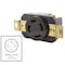 Ac Works Locking Receptacle, L15-30R, 20 A, 250V AC, Three Phase, 3 Pole, Flush Mount, Black FML1530R - alternate 6
